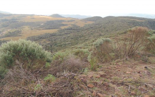 URUBICI: Propriedade na Beira do Asfalto: Mundo Novo