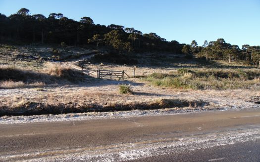 URUBICI: Propriedade na Beira do Asfalto: Mundo Novo