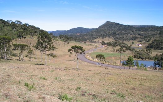 URUBICI: Propriedade na Beira do Asfalto: Mundo Novo