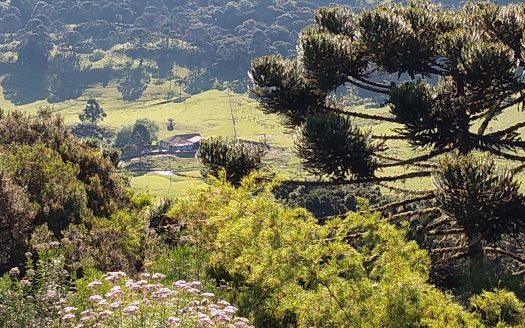 URUBICI: Propriedade na Beira do Asfalto: Mundo Novo