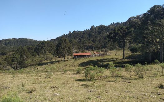 BOM JARDIM DA SERRA:  Fazenda 412 Hectares