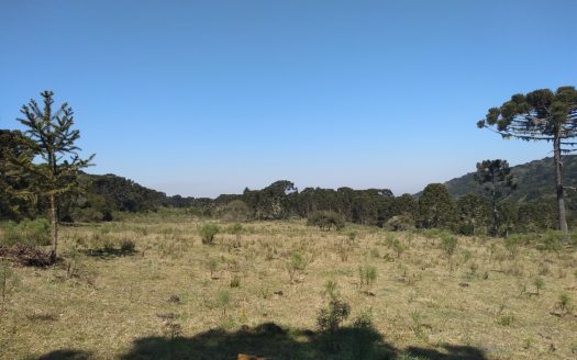 BOM JARDIM DA SERRA:  Fazenda 412 Hectares