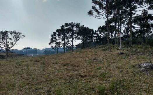 BOM JARDIM DA SERRA:  Fazenda 412 Hectares