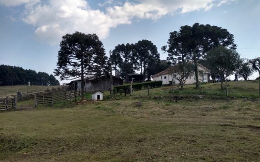BOM JARDIM DA SERRA:  Fazenda 412 Hectares