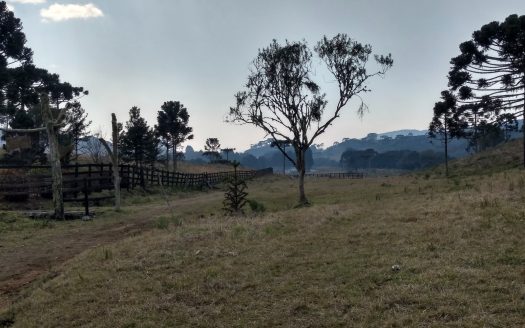 BOM JARDIM DA SERRA:  Fazenda 412 Hectares