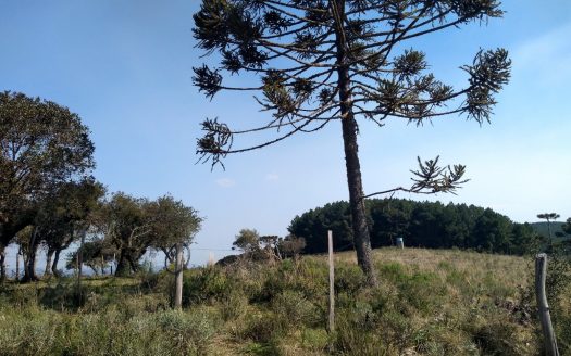 BOM JARDIM DA SERRA:  Fazenda 412 Hectares