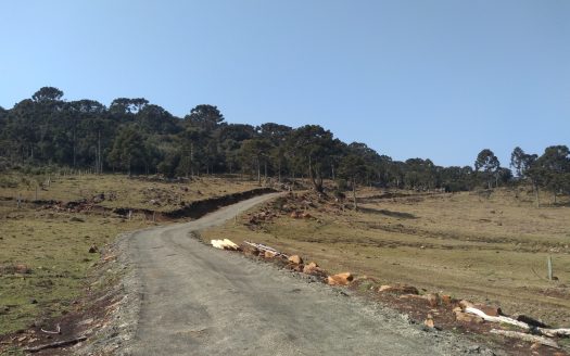 URUBICI: Propriedade na Beira do Asfalto: Mundo Novo