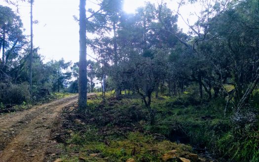Urubici:  Linda propriedade fundos para um rio