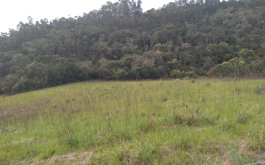 Urubici:  Sítio 2 hectares  –  Consolação