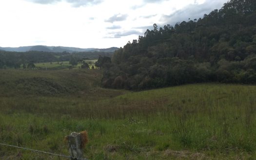 Urubici:  Sítio 2 hectares  –  Consolação