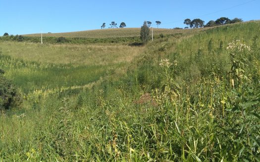 Urubici:  Sítio 2 hectares  –  Consolação