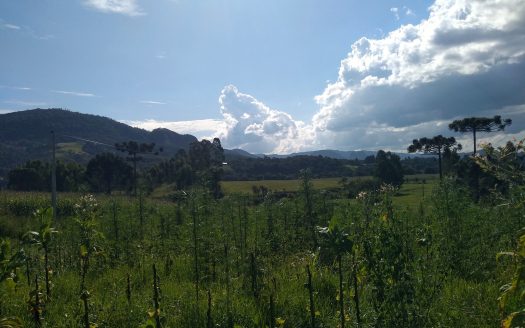 Urubici:  Sítio 2 hectares  –  Consolação