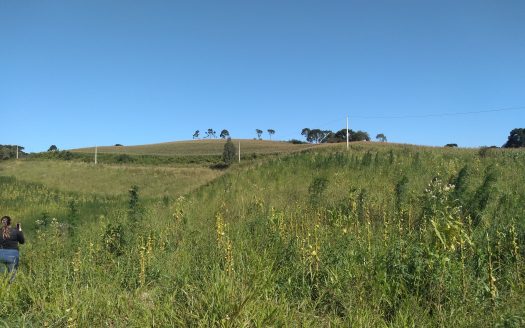 Urubici:  Sítio 2 hectares  –  Consolação