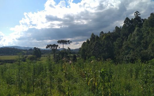 Urubici:  Sítio 2 hectares  –  Consolação