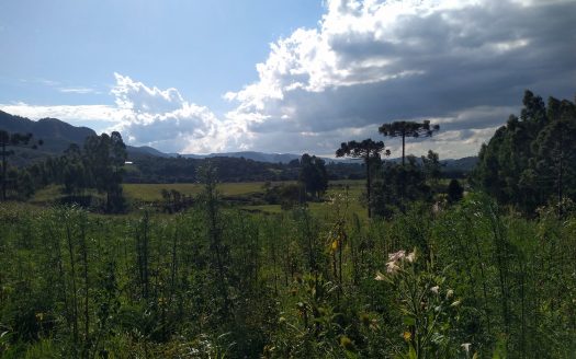 Urubici:  Sítio 2 hectares  –  Consolação