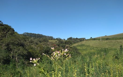 Urubici:  Sítio 2 hectares  –  Consolação