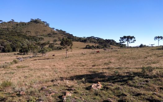 URUBICI:   Sítio 2 hectares – Entrada + 48x