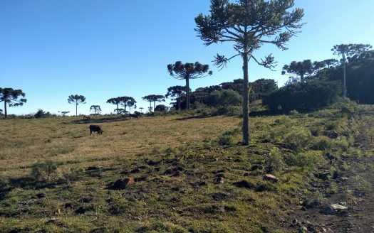 URUBICI:   Sítio 2 hectares – Entrada + 48x