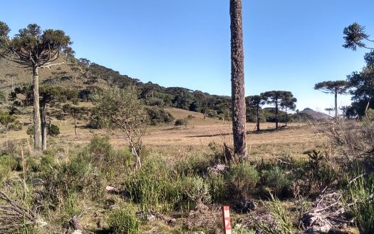 URUBICI:   Sítio 2 hectares – Entrada + 48x