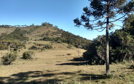 URUBICI:   Sítio 2 hectares – Entrada + 48x