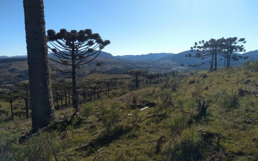 URUBICI:   Sítio 2 hectares – Entrada + 48x