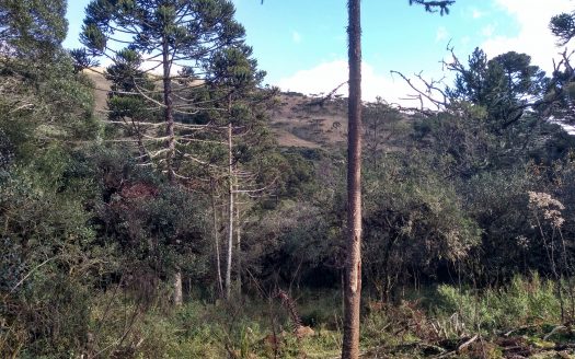 Urubici:  Linda propriedade fundos para um rio