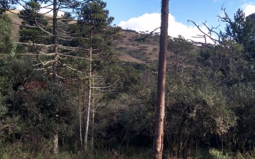 Urubici:  Linda propriedade fundos para um rio