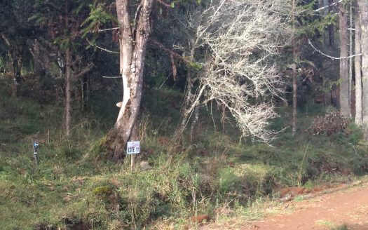 Urubici:  Linda propriedade fundos para um rio