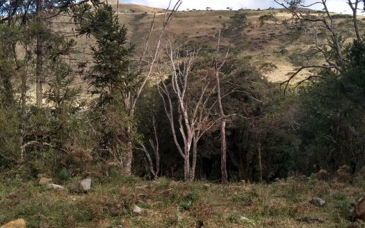 Urubici:  Linda propriedade fundos para um rio