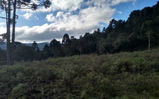 Urubici:  Linda propriedade fundos para um rio