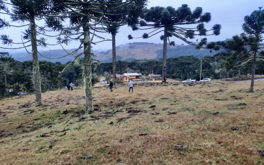 URUBICI / SÃO JOAQUIM:  2 Hectares na localidade Pericó