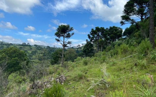 URUBICI / SÃO JOAQUIM:  2 Hectares na localidade Pericó