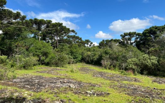 URUBICI / SÃO JOAQUIM:  2 Hectares na localidade Pericó