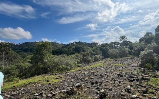 URUBICI / SÃO JOAQUIM:  2 Hectares na localidade Pericó