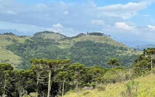 URUBICI / SÃO JOAQUIM:  2 Hectares na localidade Pericó