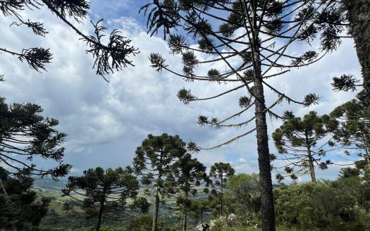 URUBICI / SÃO JOAQUIM:  2 Hectares na localidade Pericó