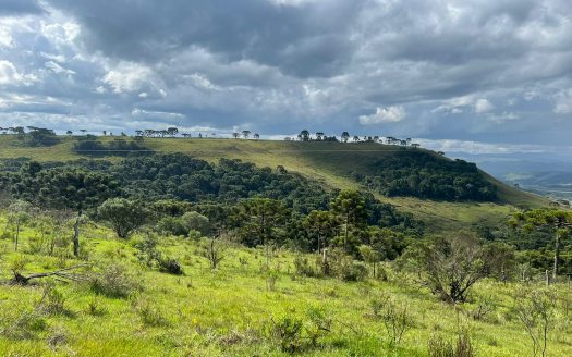 URUBICI / SÃO JOAQUIM:  2 Hectares na localidade Pericó