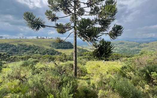 URUBICI / SÃO JOAQUIM:  2 Hectares na localidade Pericó
