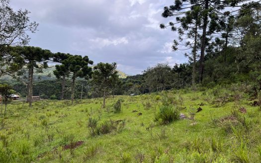 URUBICI / SÃO JOAQUIM:  2 Hectares na localidade Pericó