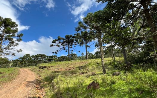 URUBICI / SÃO JOAQUIM:  2 Hectares na localidade Pericó