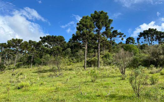 URUBICI / SÃO JOAQUIM:  2 Hectares na localidade Pericó