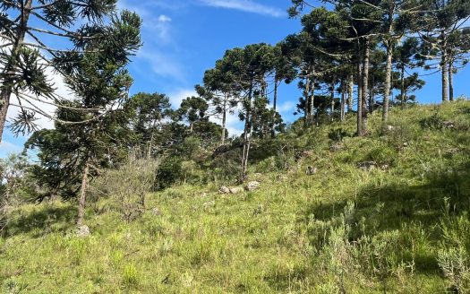 URUBICI / SÃO JOAQUIM:  2 Hectares na localidade Pericó
