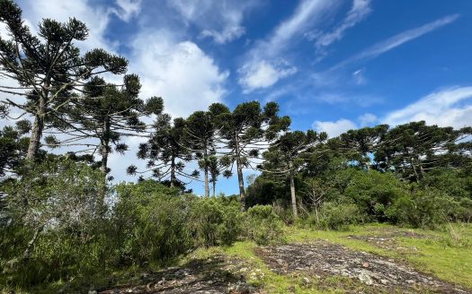 URUBICI / SÃO JOAQUIM:  2 Hectares na localidade Pericó