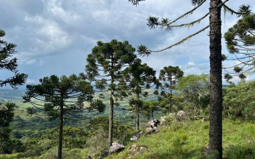 URUBICI / SÃO JOAQUIM:  2 Hectares na localidade Pericó
