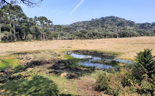 Propriedade na Serra Catarinense com Linda cachoeira !