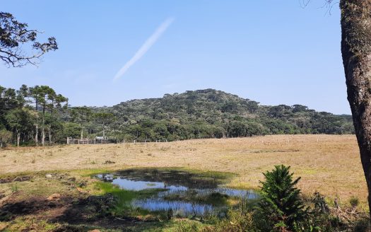 Propriedade na Serra Catarinense com Linda cachoeira !