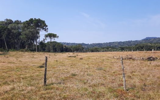 Propriedade na Serra Catarinense com Linda cachoeira !