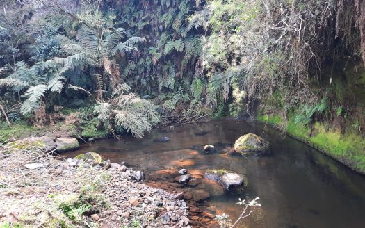 Propriedade na Serra Catarinense com Linda cachoeira !