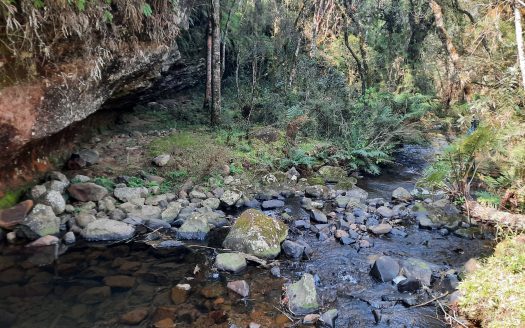 Propriedade na Serra Catarinense com Linda cachoeira !