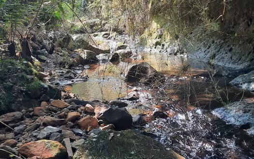 Propriedade na Serra Catarinense com Linda cachoeira !